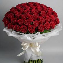 Букет 101 Красная роза Блэк Мэджик в Богородском