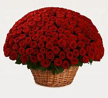 Премиум букет из: Розы #REPLACE_PRED# Богородском